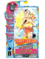 supercard terrytaylor figure s8 summerslambce