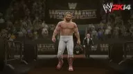 WWE2K14 BigJohnStudd