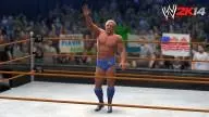 WWE2K14 Ric Flair