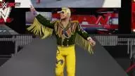 WWE2K15 RetroSting