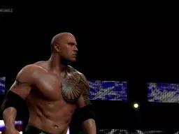 WWE2K15 TheRockEntrance