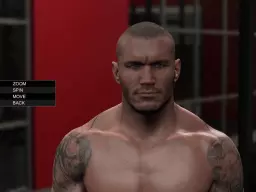 WWE2K15 SuperstarStudio Screen88