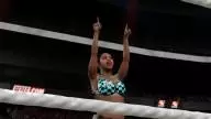 WWE2K15 NaomiWins