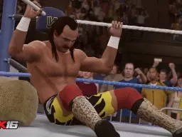 WWE2K16 Jake Roberts 1