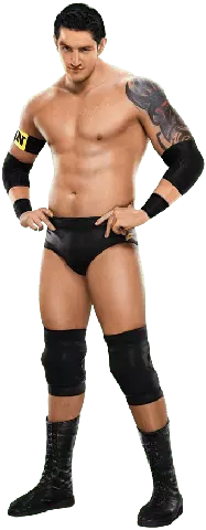 SvR2011 Render WadeBarrett