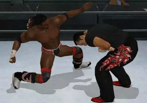 SVR2009 Wii 073