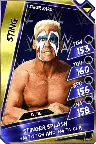 Sting (surfer) - super rare (loyalty) (road to glory)