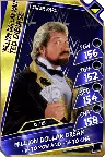 Ted dibiase - super rare (loyalty)