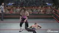 SvR2008 Bret Hart 10