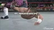 SvR2008 Bret Hart 11