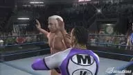 SvR2008 Ric Flair 02