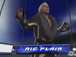 SvR2008 Ric Flair 06