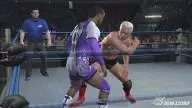 SvR2008 Ric Flair 08