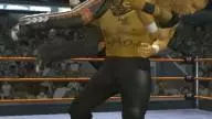 SvR2008 PS2 Umaga 08