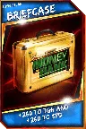 SuperCard Support Briefcase R10 SummerSlam