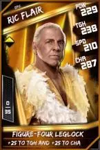 SuperCard RicFlair 06 Epic