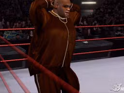 SvR2007 Viscera 3