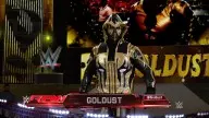 WWE2K17 Goldust 2