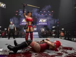 aew fight forever blood