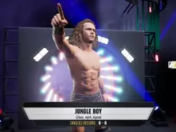 aew fight forever jungle boy