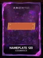 4 customization nameplates 98 nameplate cosmetic