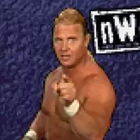 Wcw Nwo Thunder