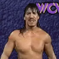 Wcw Nwo Thunder