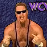 Wcw Nwo Thunder