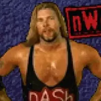 Wcw Nwo Thunder