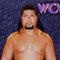 Wcw Nwo Thunder