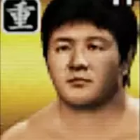 Wrestle Kingdom 2