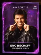 3 managers ericbischoffseries amethyst ericbischoff manager