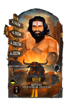 Veer Veer