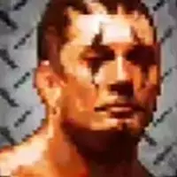 Hulkamania Wrestling