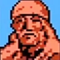 Hulk Hogan Hulk Hogan