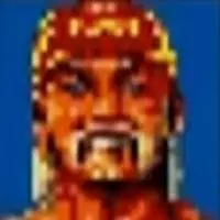 Hulk Hogan Hulk Hogan