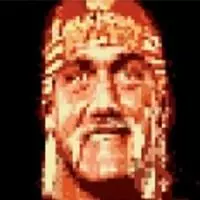 Hulk Hogan Hulk Hogan