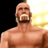 Hulk Hogan Hulk Hogan