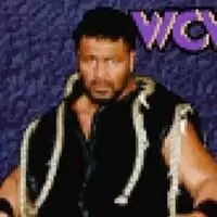 Wcw Nwo Thunder