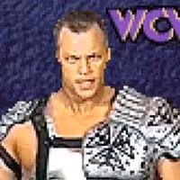 Wcw Nwo Thunder