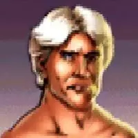 Ric Flair Ric Flair