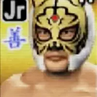 Wrestle Kingdom 2