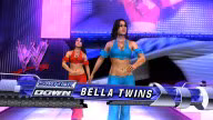 svr 2010 bella twins