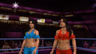 svr 2010 bella twins