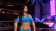 svr 2010 brie bella