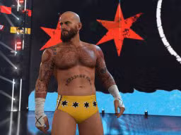 wwe 2k24 cm punk ses
