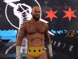 wwe 2k24 cm punk ses