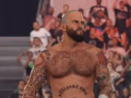 wwe 2k24 cm punk ses