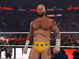 wwe 2k24 cm punk ses