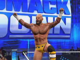 wwe 2k24 cm punk ses